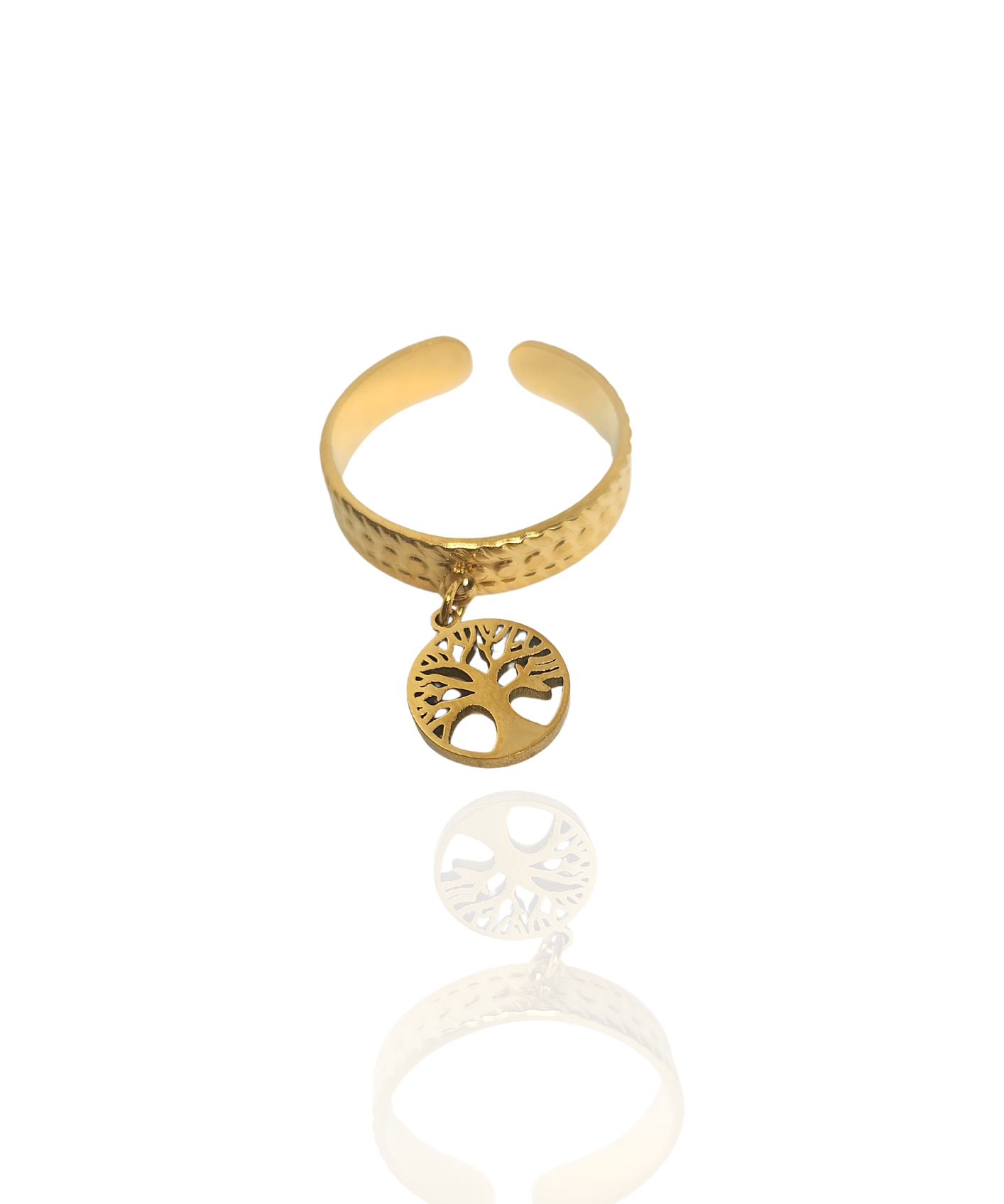 Image de diapositive