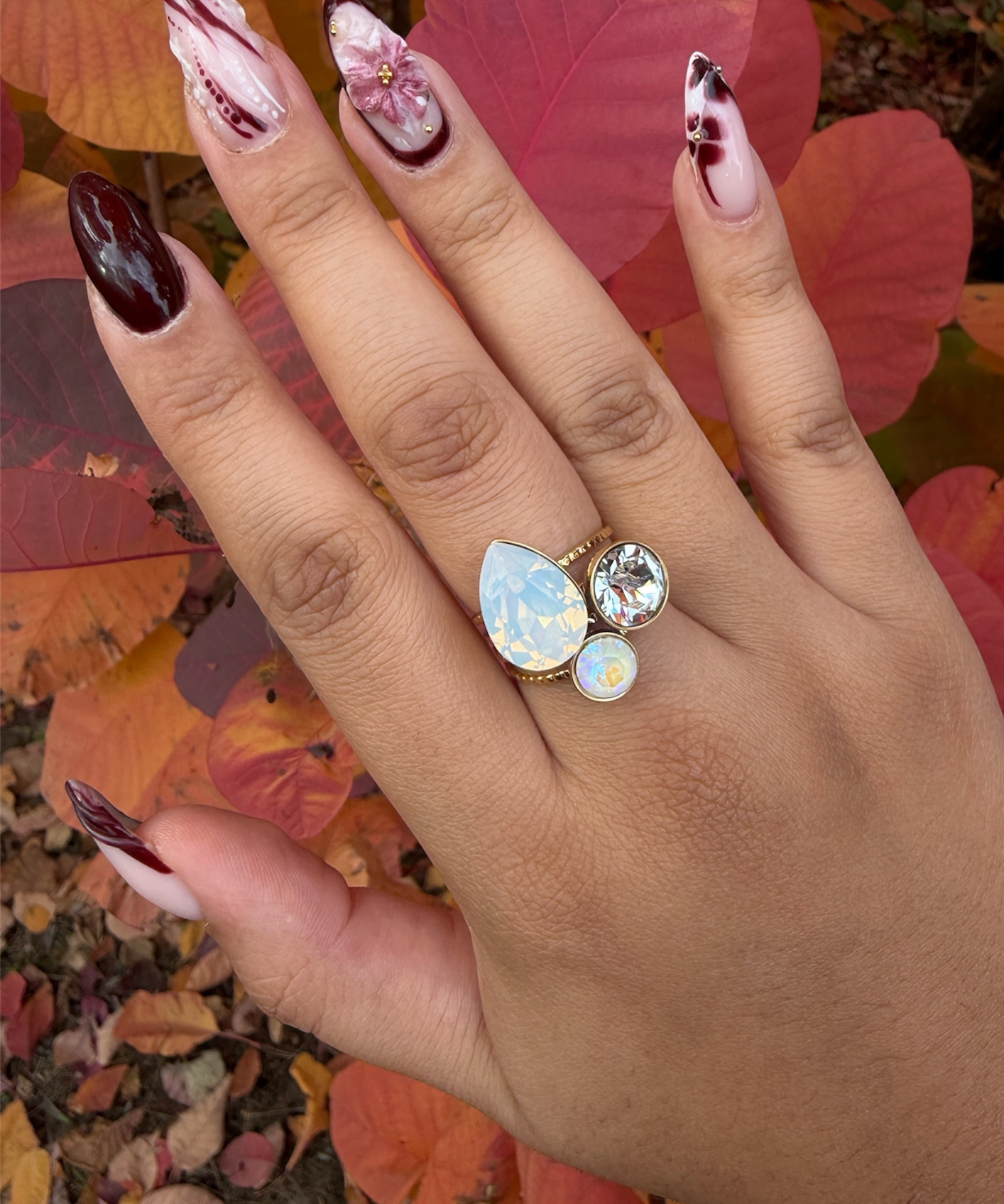 Image de diapositive