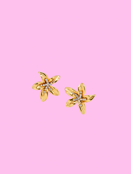 Boucles Léandra