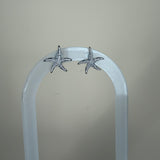 Boucles Paros argent