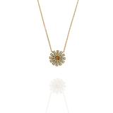 Collier Georgia miel