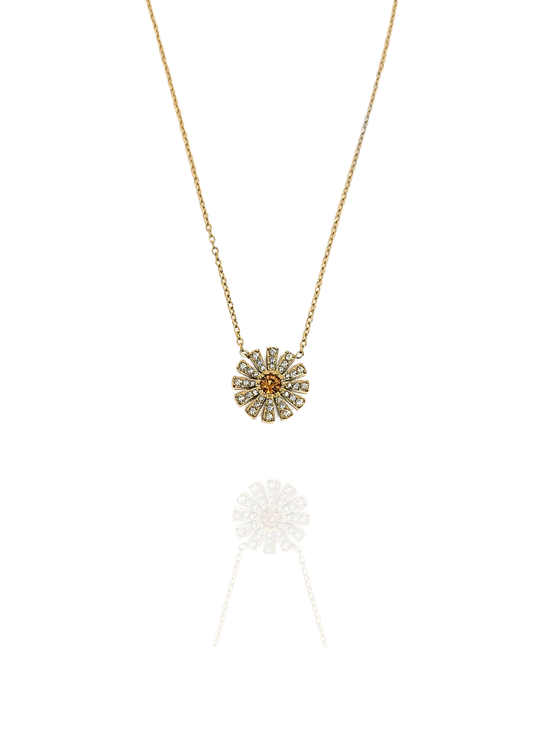 Collier Georgia miel