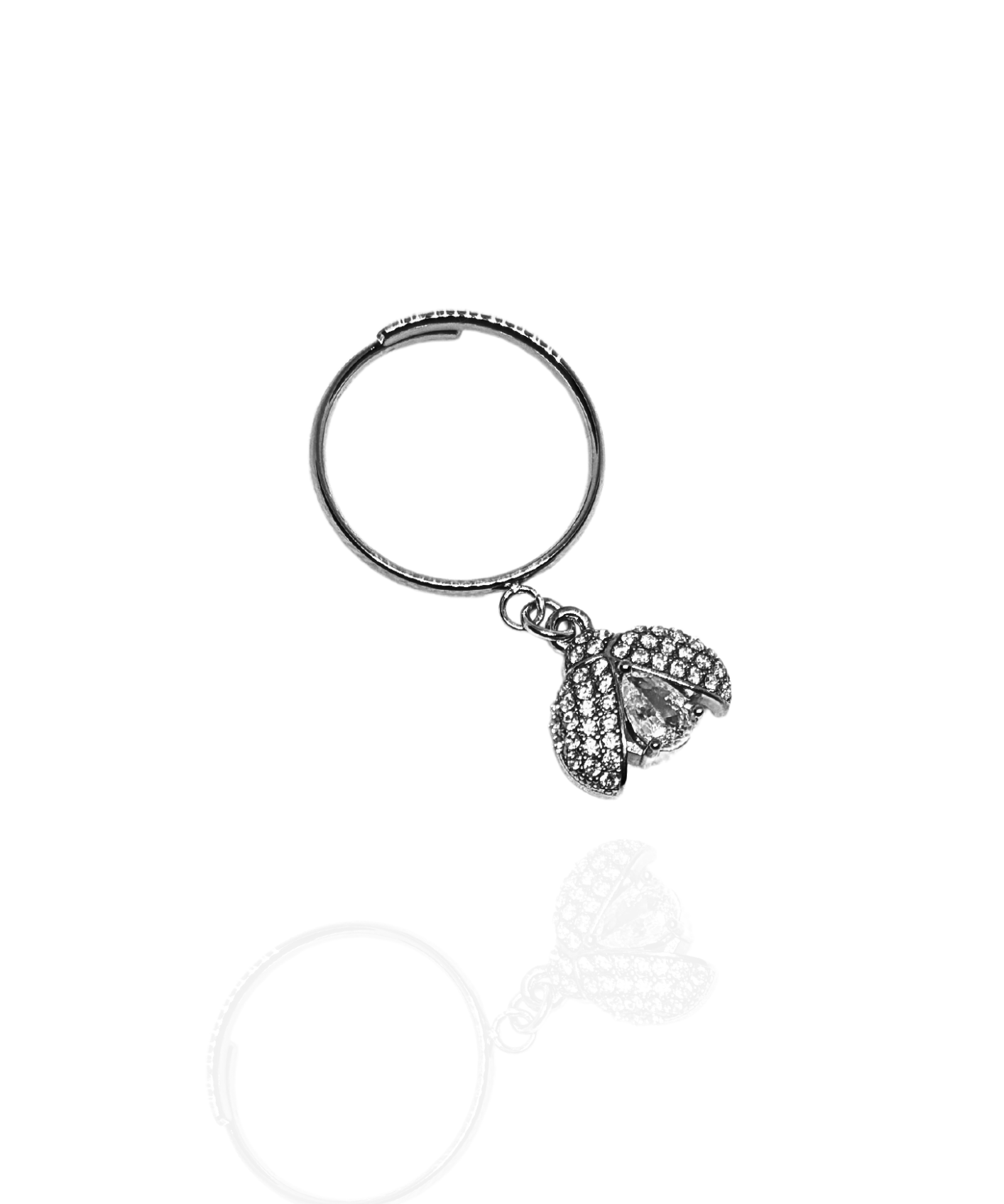 Image de diapositive