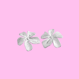 Boucles Spring argent