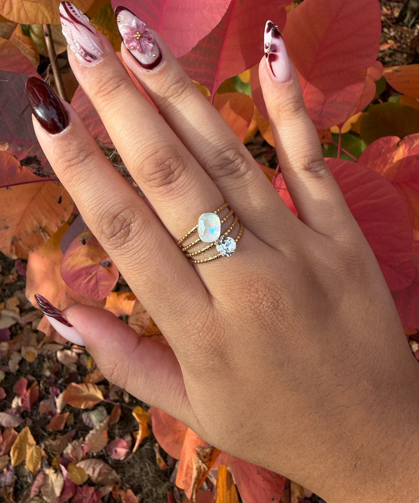 Image de diapositive