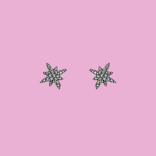 Boucles Laura argent