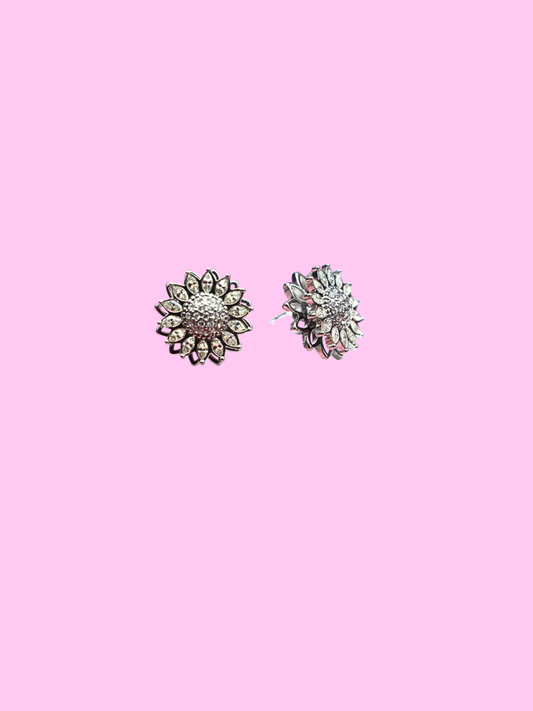 Boucles anti stress Claudia argent