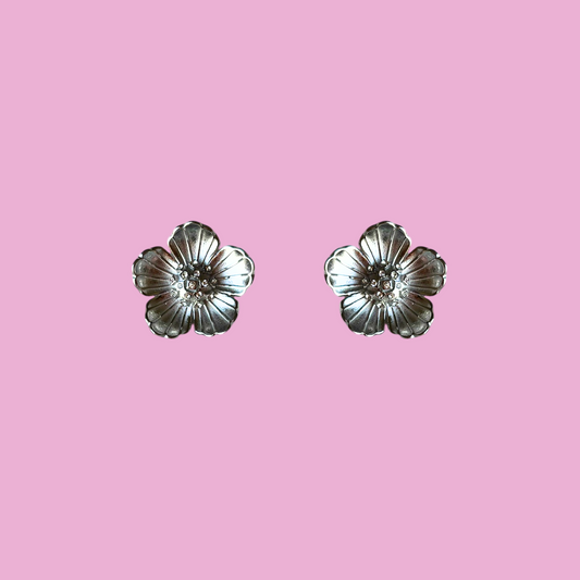 Boucles Anastasie