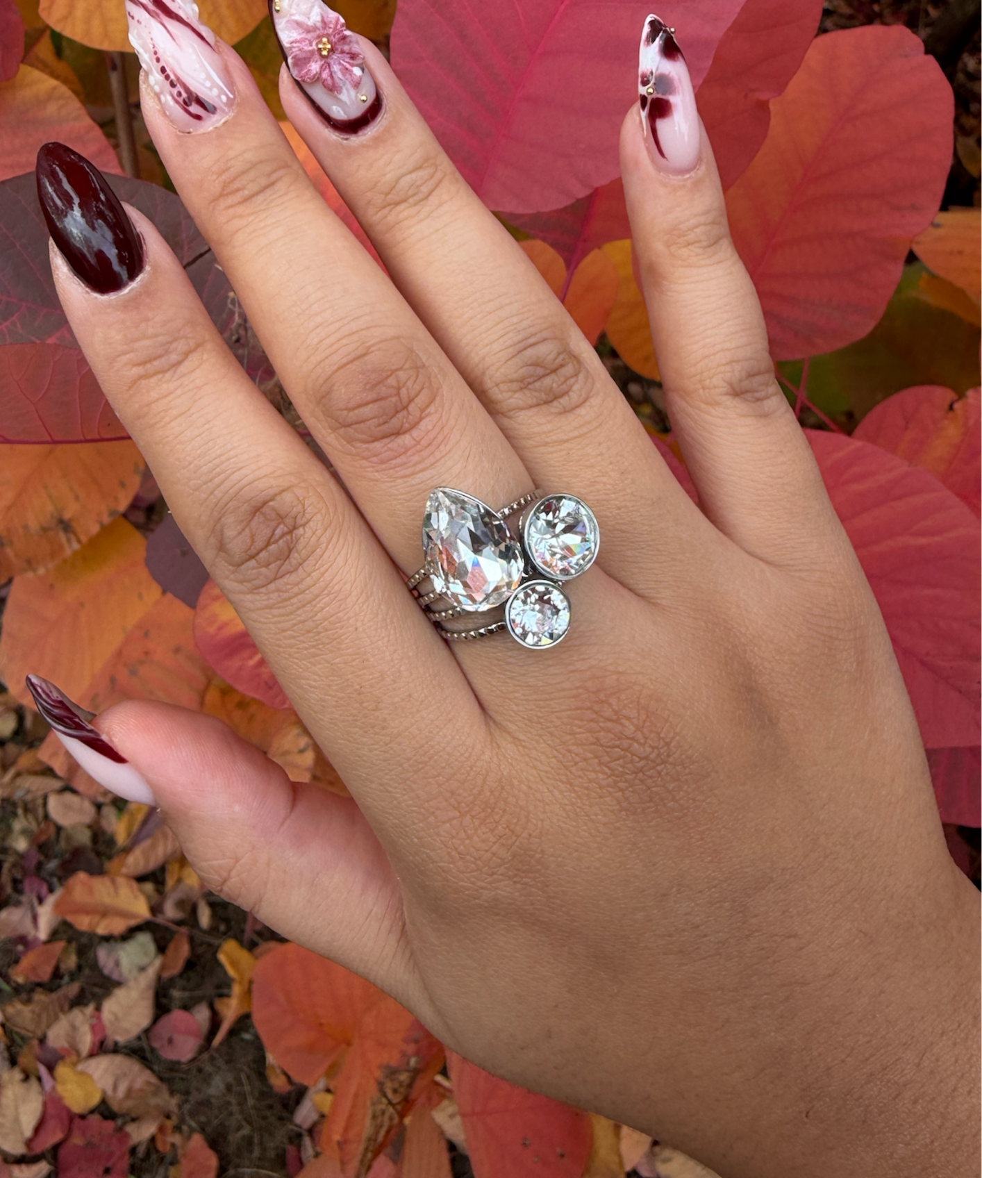 Image de diapositive