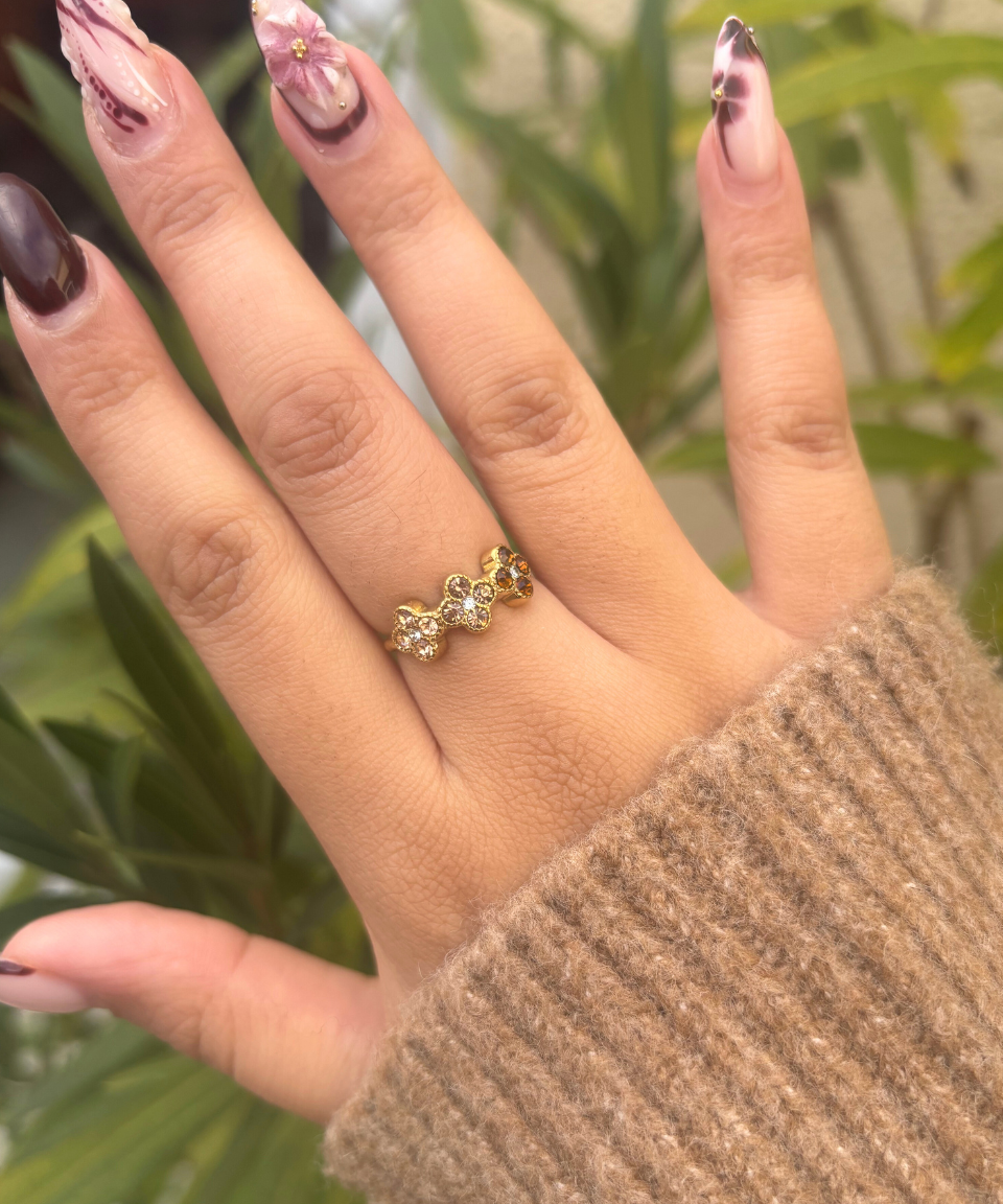 Image de diapositive